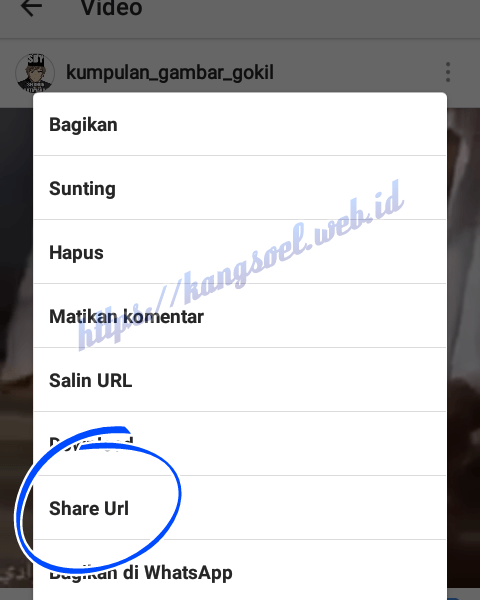 download video instagram to mp4