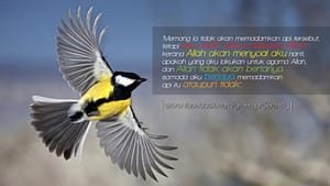 hikmah cerita cicak dan burung pipit | dimana kau berpihak