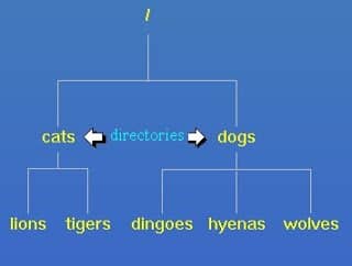 struktur direktori linux