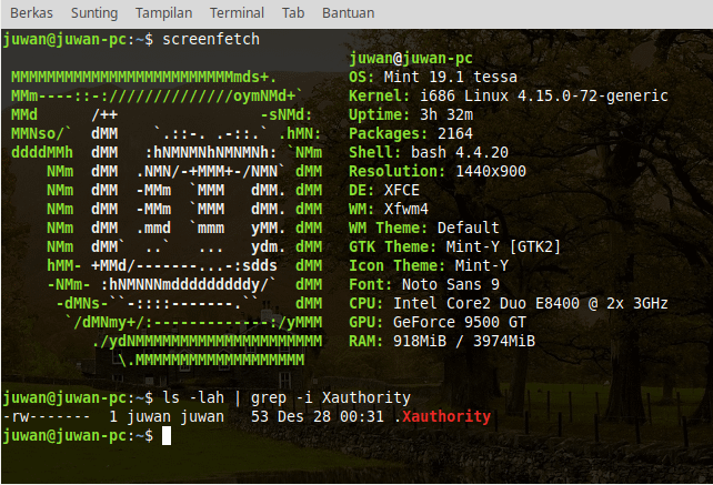 Xauthority - mengatasi ubuntu tidak bisa login