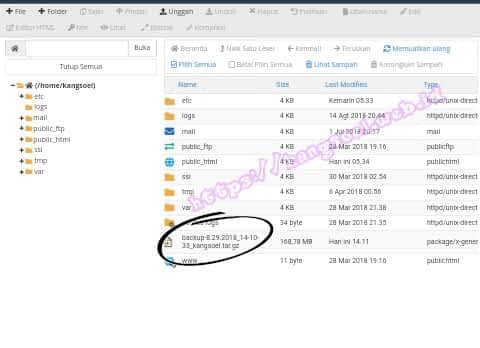 Backup dan restore di cpanel hosting Cara backup dan restore website wordpress menggunakan cpanel hosting