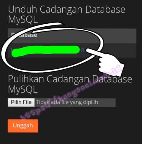 Backup dan restore di cpanel hosting Cara backup dan restore website wordpress menggunakan cpanel hosting