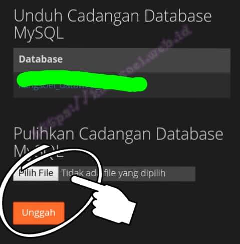 Backup dan restore di cpanel hosting Cara backup dan restore website wordpress menggunakan cpanel hosting