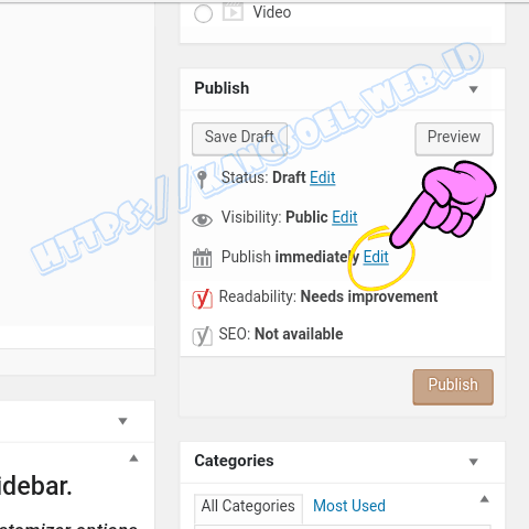Meta box status dan visibilitas membuat posting terjadwal