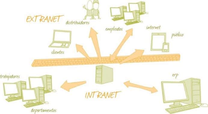 perbedaan internet intranet extranet